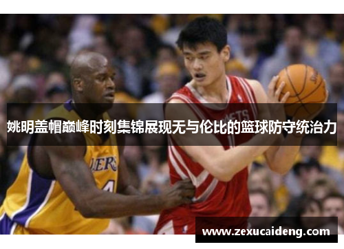 姚明盖帽巅峰时刻集锦展现无与伦比的篮球防守统治力 姚明盖帽巅峰时刻集锦展现无与伦比的篮球防守统治力