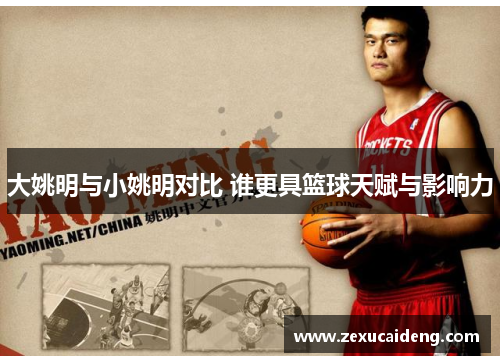 大姚明与小姚明对比 谁更具篮球天赋与影响力 大姚明与小姚明对比 谁更具篮球天赋与影响力