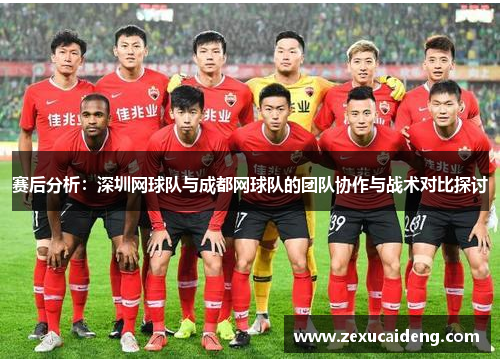 赛后分析：深圳网球队与成都网球队的团队协作与战术对比探讨